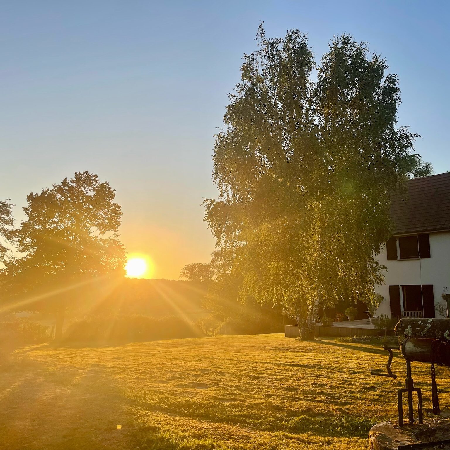 Domaine Daisy sunrise