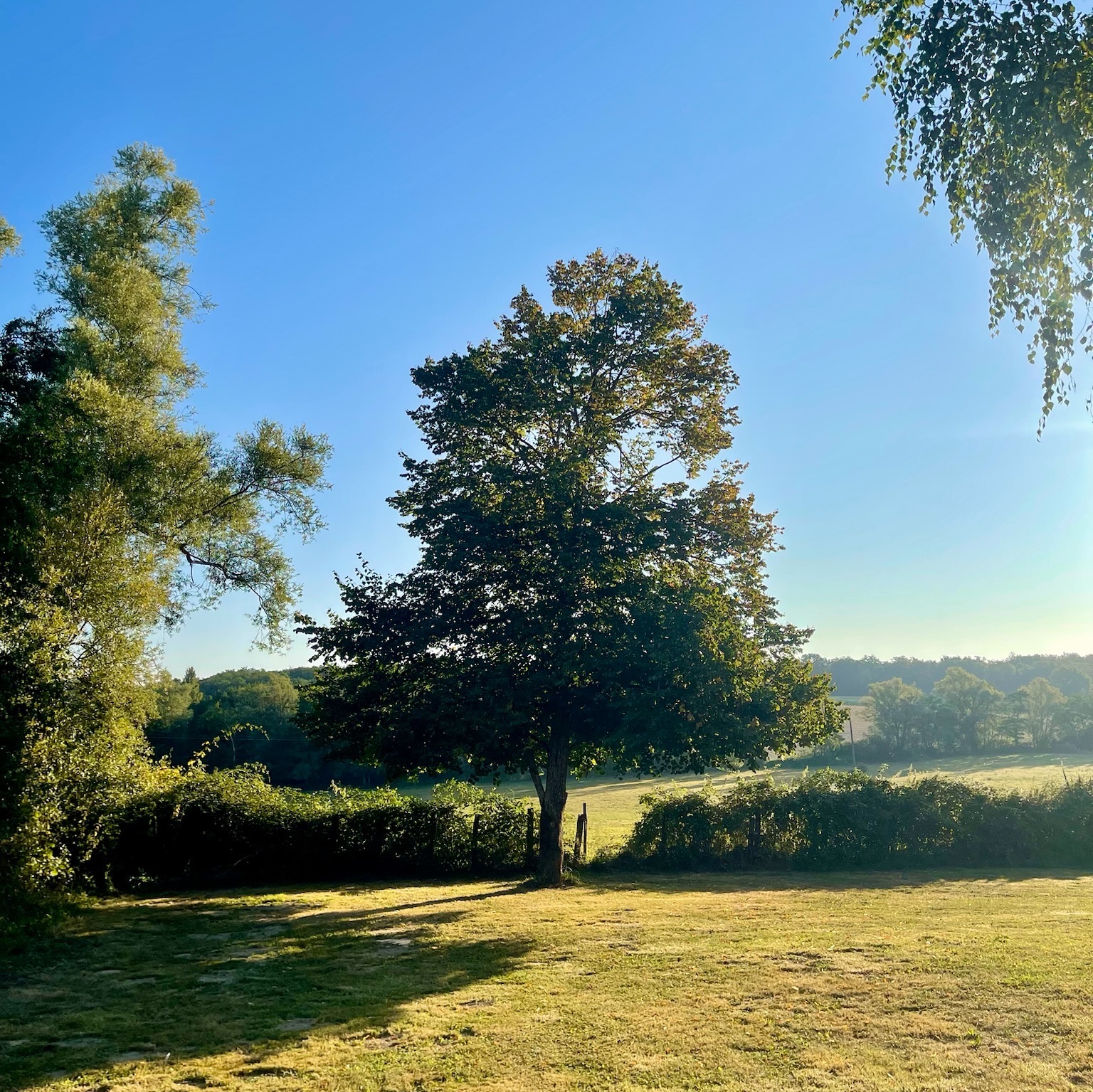 Sunrise at Domaine Daisy