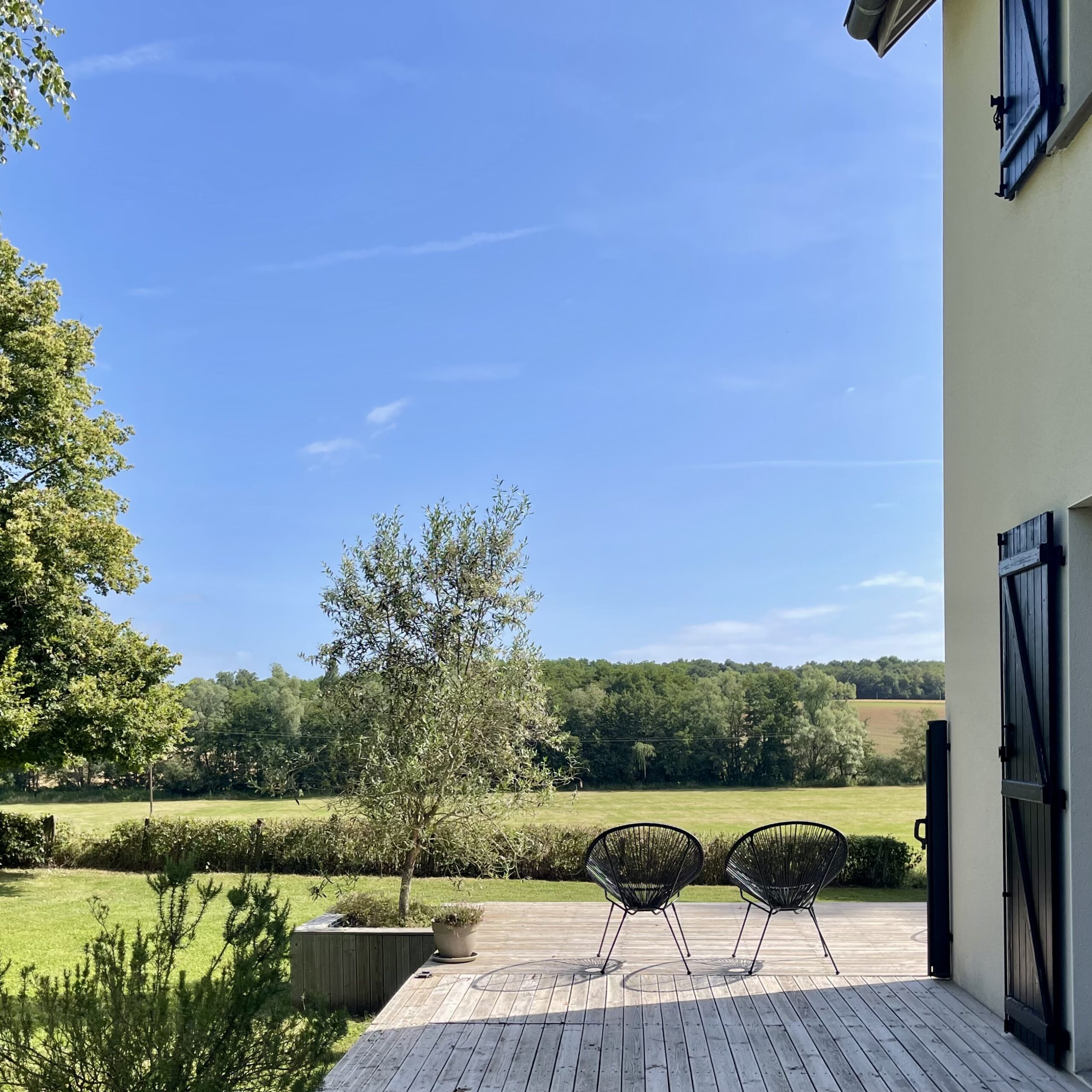 Domaine Daisy